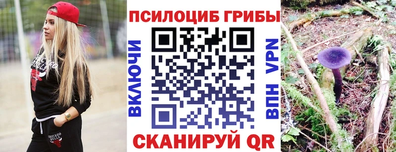 дарк нет Telegram  Солигалич  ссылка на мегу ссылка  Псилоцибиновые грибы прущие грибы  где купить наркоту 